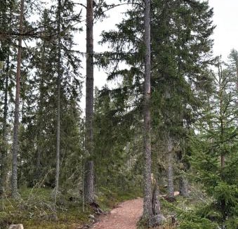 Kvissleby Apartment | Charming, quiet apartment