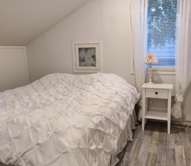 Taipalsaari House | Omenapolun Onni