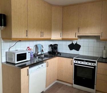 Vestre Jakobselv Apartment | Apartment in Jakobselv with EV charger and sauna