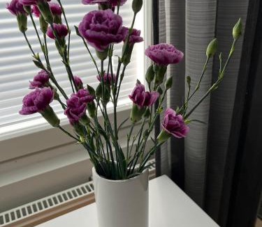 Seinajoki Apartment | Tilava kaksio 55m2 keskustassa, autopaikka, ilmalämpöpumppu, hyvin varusteltu