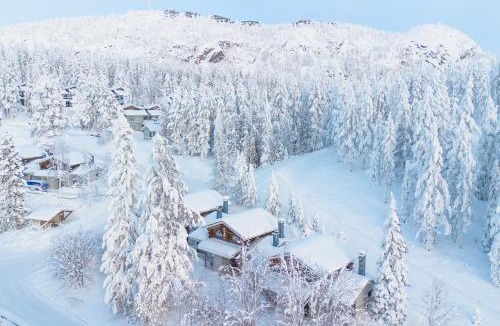 Rukatunturi Apartment | Voimakelo - renovated - near ski bus