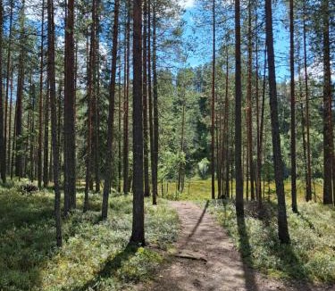 Syote Apartment | Iso-Syöte tunnelmallinen kelomökki