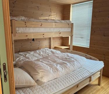 Myrkdalen House | Funkis Hytta