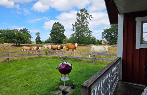 Flattinge Bed & Breakfast | B & B Flattinge Fritidshus