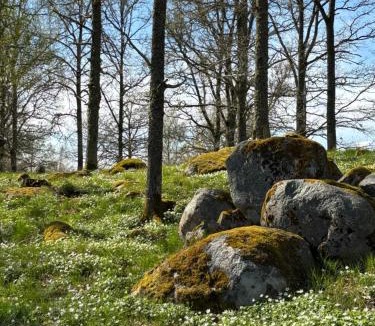 Dals Langed House | StayinDalsland