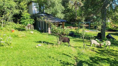 Orivesi Other | Duckvilla Handcrafted Tiny Home and Sauna