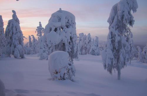 Syote Apartment | Huipunpuisto 1
