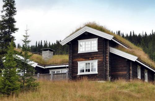 Skeikampen House | 4 star holiday home in Fåvang