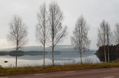 Hassela House | Stuga Lucy i Hassela -naturupplevelser