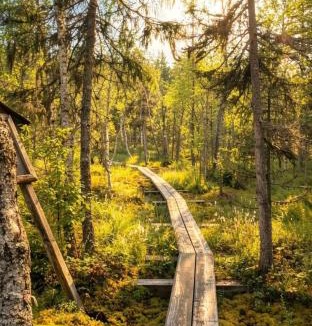Vikajarvi House | Scandinavian Dream Cottages Vikajarvi- Rovaniemi