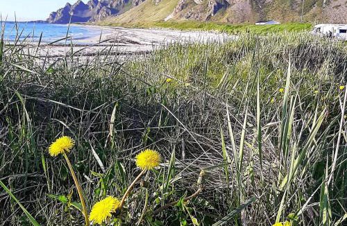 Sortland House | 8 person holiday home in SORTLAND-By Traum