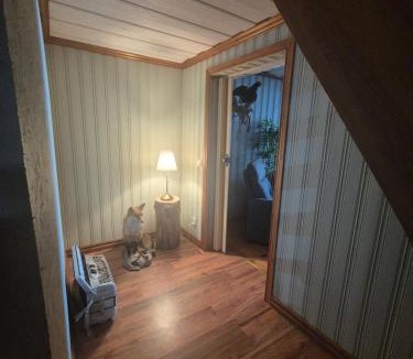 Asele House | Panorama River House