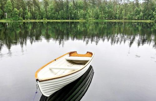 Rottne House | 6 person holiday home in Sävsjö