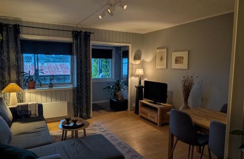 Tromsdalen Apartment | Casa Orionvegen