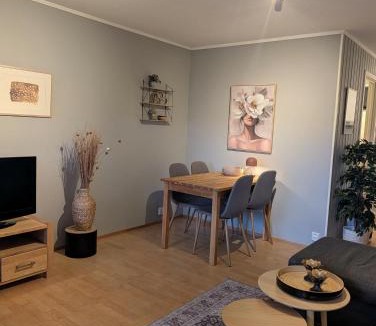 Tromsdalen Apartment | Casa Orionvegen