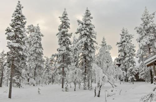 Saariselka House | Holiday Home Ressipysäkki 1 by Interhome