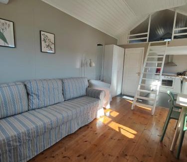 Saltarna House | Haus Alva