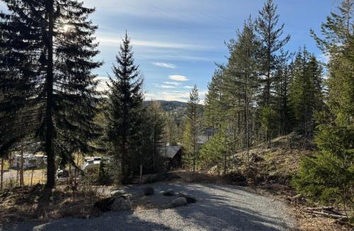 Sigdal Municipality Cabin | Halvorseth
