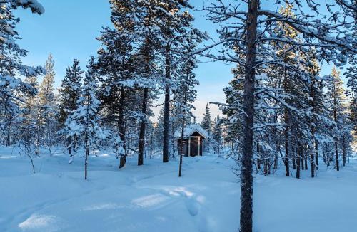Inari Ski Chalet | Villa Goškanjávri