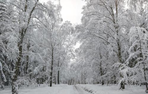 Sjobo House | 2 Bedroom Awesome Home In Sjöbo