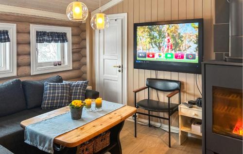 Trysil House | Awesome Home In Nybergsund With Wifi