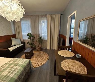 Jamsa Apartment | Jämsänkoski keskusta