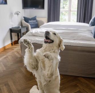 Trelleborg Hotel | Hotell Dannegården