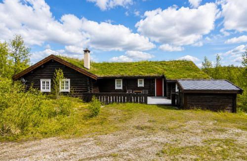 Hol Municipality House | Large, cozy, and spacious cabin in Geilo, Kikut