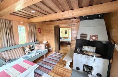 Koli National Park Ski Chalet | Metsäpirtti