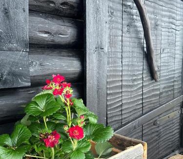 Orivesi House | Experience Finland Like a Finn-Private Island Tampere Region
