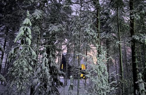 Kontiolahti Villa | Meteorite House