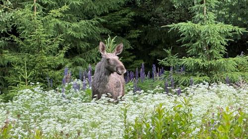 Undenas Hostel | Skagagården-peaceful stay near Tiveden National Park