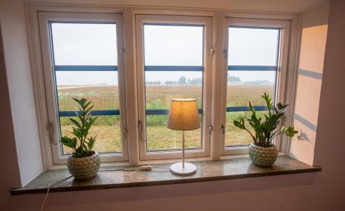 Borrby House | Almeboda in Österlen