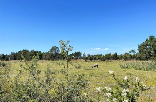 Faro House | 4 star holiday home in Fårö