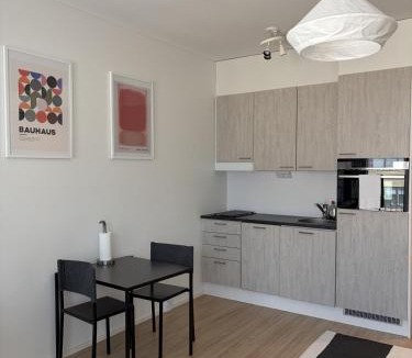 Turku Apartment | Viihtyisä ja tilava studio keskustassa