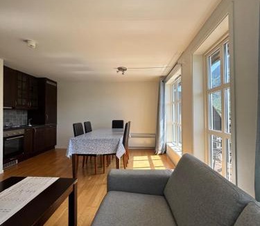 Roldal Apartment | Røldal Overnatting