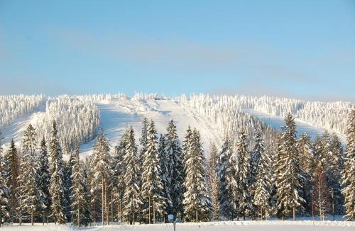 Tahkovuori Apartment | Tahkovuori Chalets B 503
