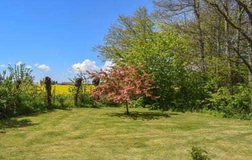 Borrby House | Nice Home In Borrby With Sauna