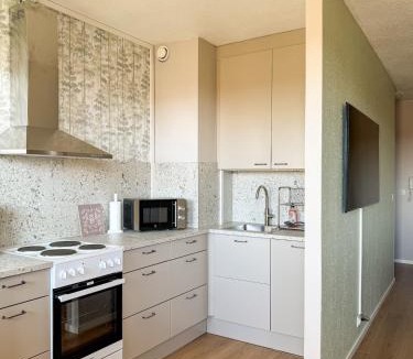 Larsmo Apartment | Tyylikäs helmi - Täysin remontoitu keskustayksiö