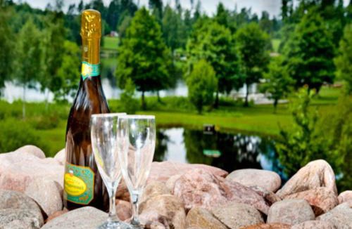 Burseryd House | 2 person holiday park home in BÜRSERYD