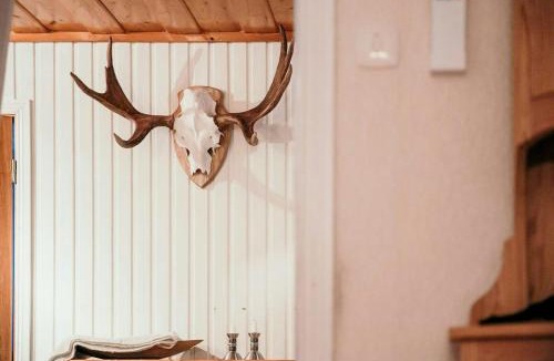 Hallen House | Log Cabin Near Bydalsfjällen Ski Resort