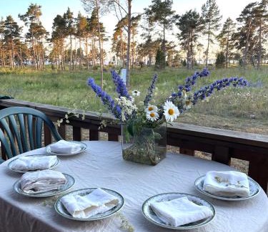 Larbro House | Nobel Cabins - Furillen