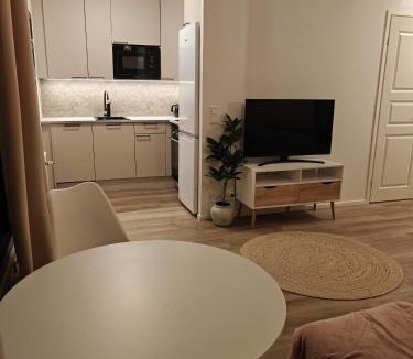 Palsbole Apartment | Kaupunkikoti omalla saunalla sekä lähellä juna-asemaa, 100M Wifi