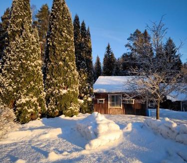 Sunnansjo Villa | Embracing nature's Swedish house