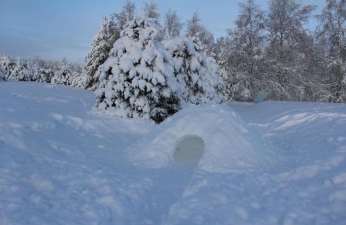 Rovaniemi Ski Chalet | Vasko Luxurious Suites, Firefox