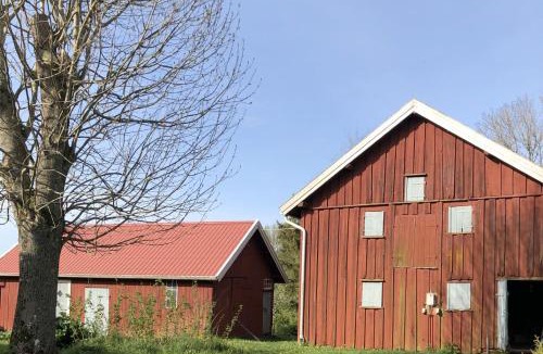 Lidkoping House | Charming and spacious villa near Lidköping