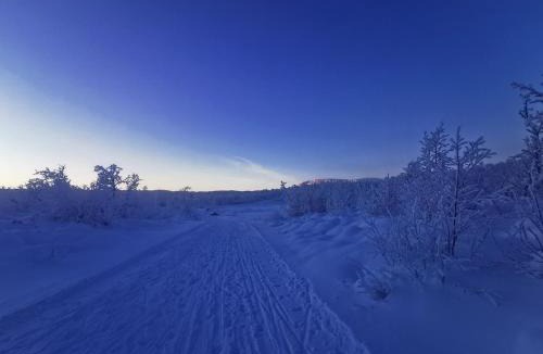 Hol Municipality Apartment | Leilighet på fjellet nær Geilo
