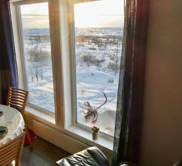 Nesseby House | Suovka reindeer & bird lodge
