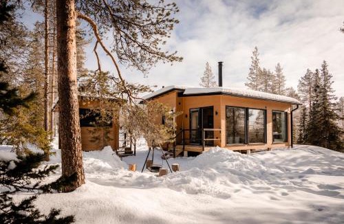 Ylitornio Villa | WALD Villas - Aavasaksa, Lapland