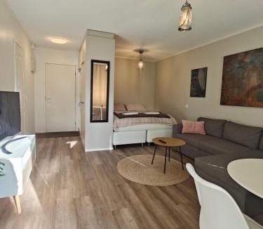 Palsbole Apartment | Kaupunkikoti omalla saunalla sekä lähellä juna-asemaa, 100M Wifi